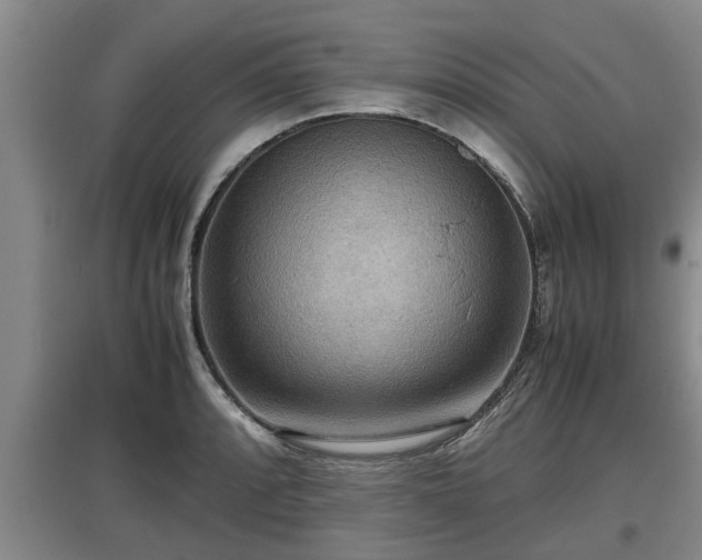 X0000097461088200802291230