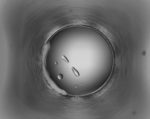 X0000097461089200802291230