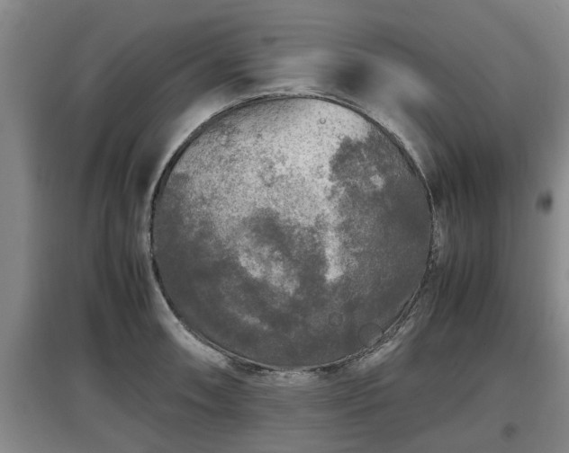 X0000097461090200802291230