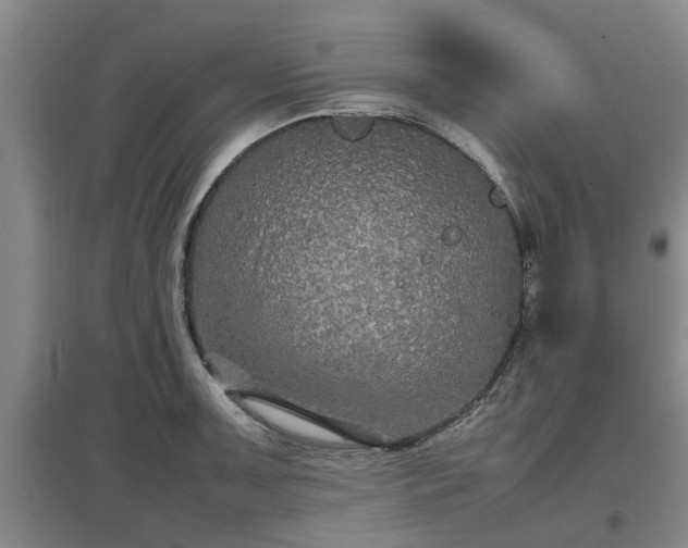 X0000097461091200802291230