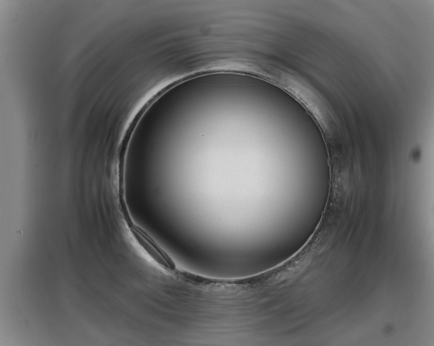 X0000097461092200802291230