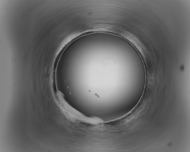 X0000097461093200802291230