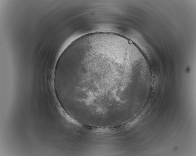 X0000097461094200802291230