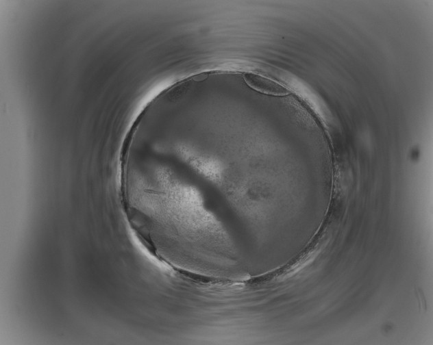 X0000097461095200802291230