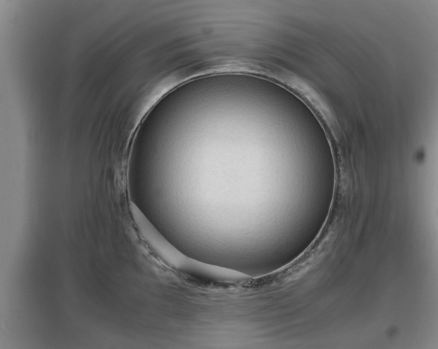 X0000097461097200802291230