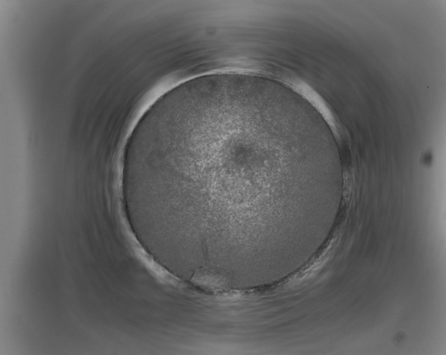 X0000097461099200802291230