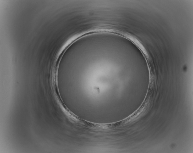 X0000097461101200802291230