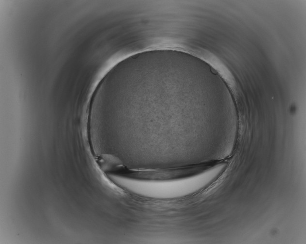 X0000097461102200802291230