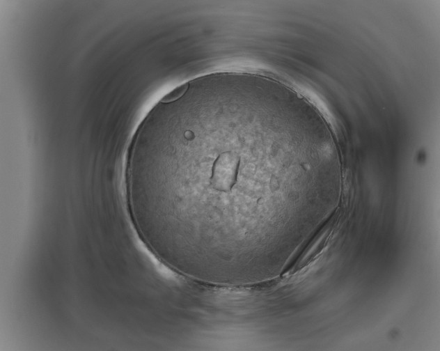 X0000097461103200802291230