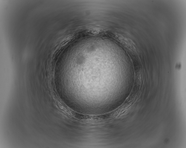 X0000097461105200802291229