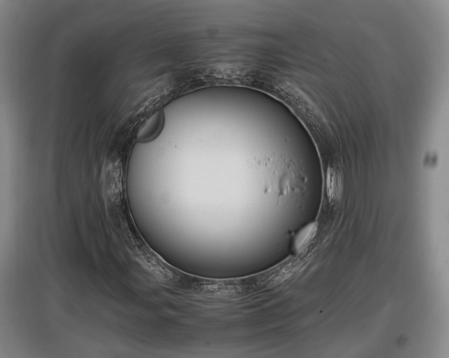 X0000097461107200802291229