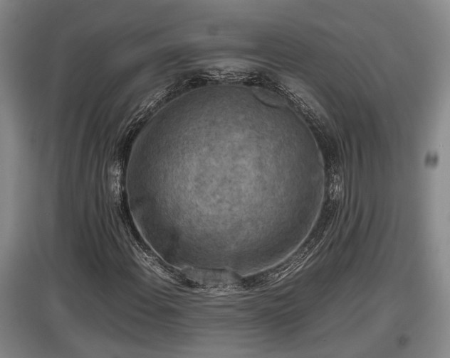 X0000097461108200802291229