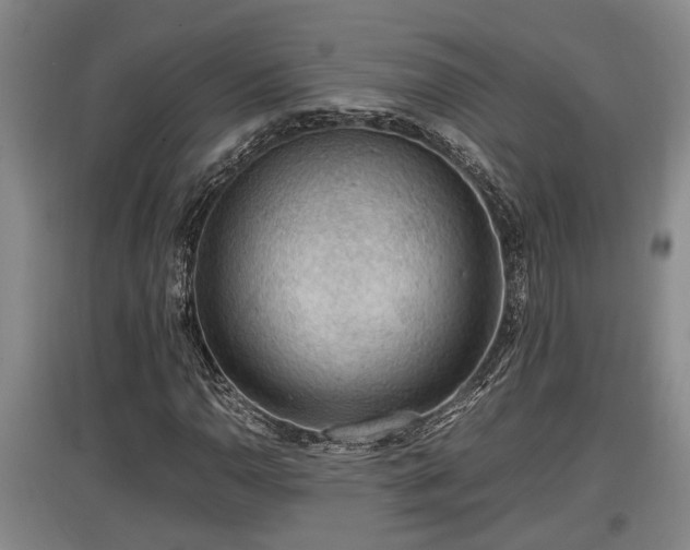 X0000097461110200802291229