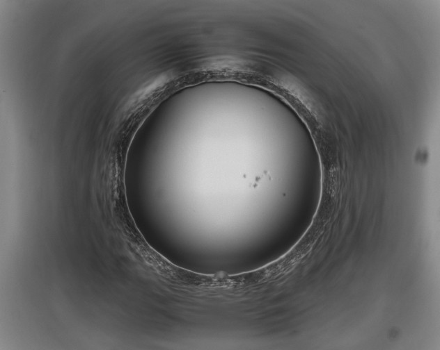 X0000097461111200802291229