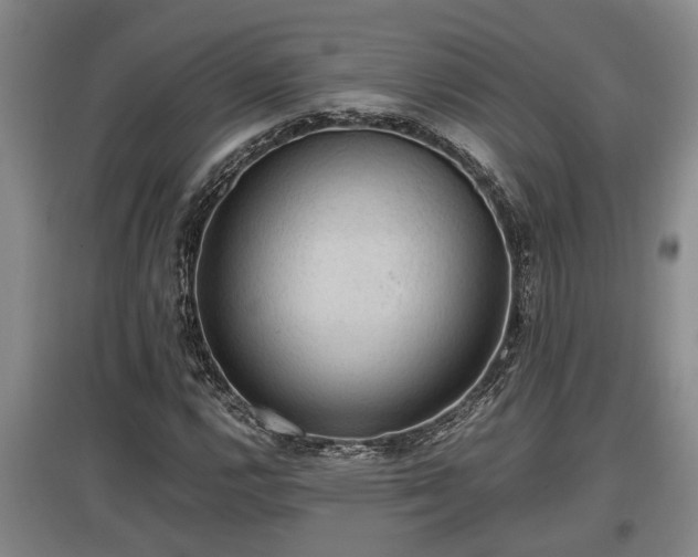 X0000097461112200802291229