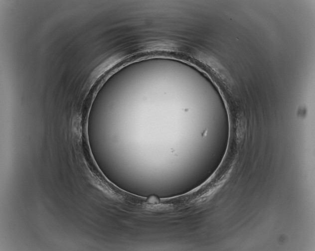 X0000097461113200802291230