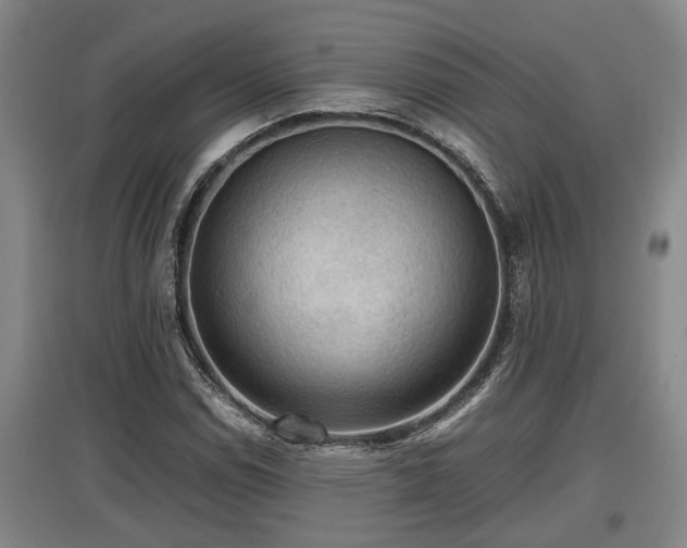 X0000097461114200802291230