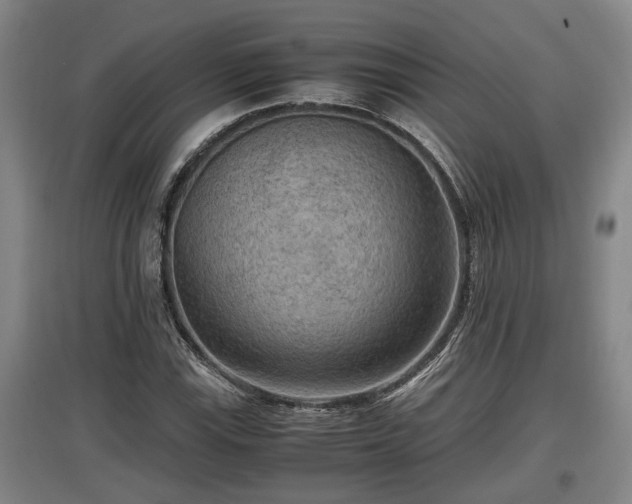 X0000097461115200802291230