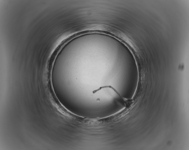 X0000097461116200802291230