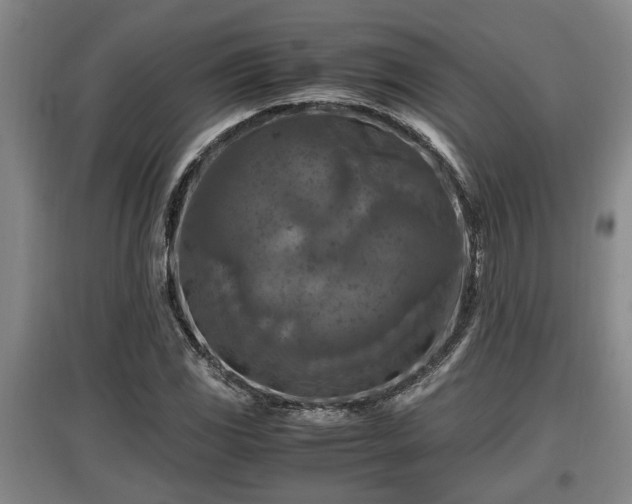 X0000097461117200802291230