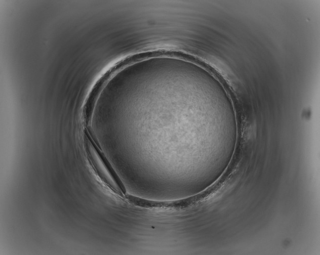 X0000097461118200802291230