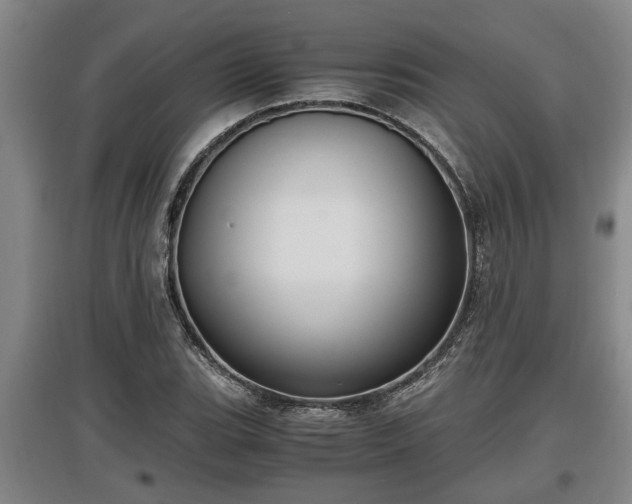 X0000097461119200802291230