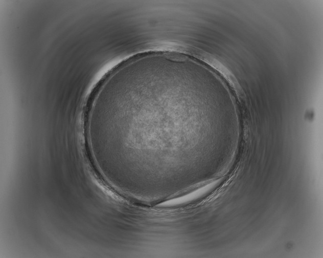 X0000097461120200802291230