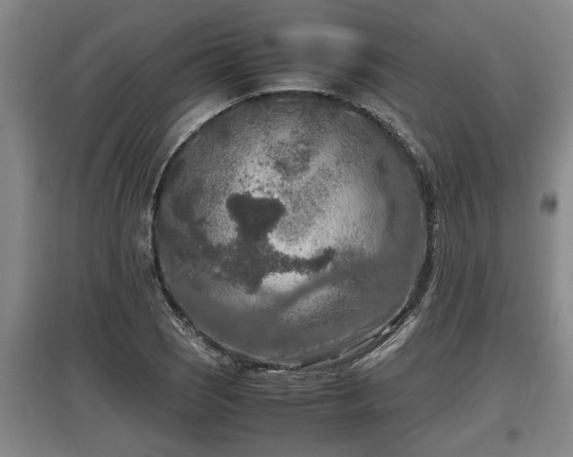 X0000097461121200802291230