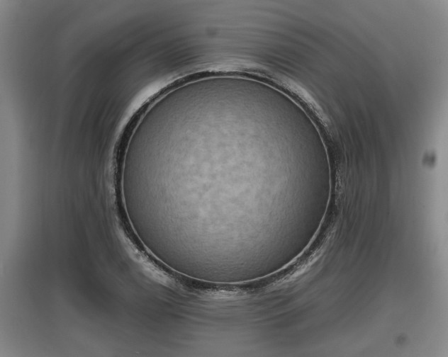 X0000097461122200802291230