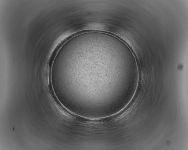 X0000097461123200802291230