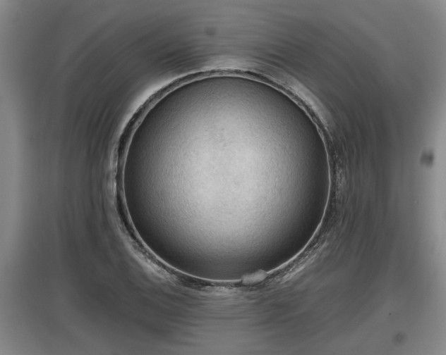 X0000097461124200802291230