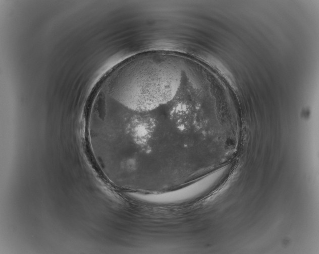 X0000097461125200802291230