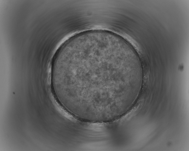 X0000097461126200802291230