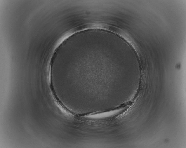 X0000097461127200802291230