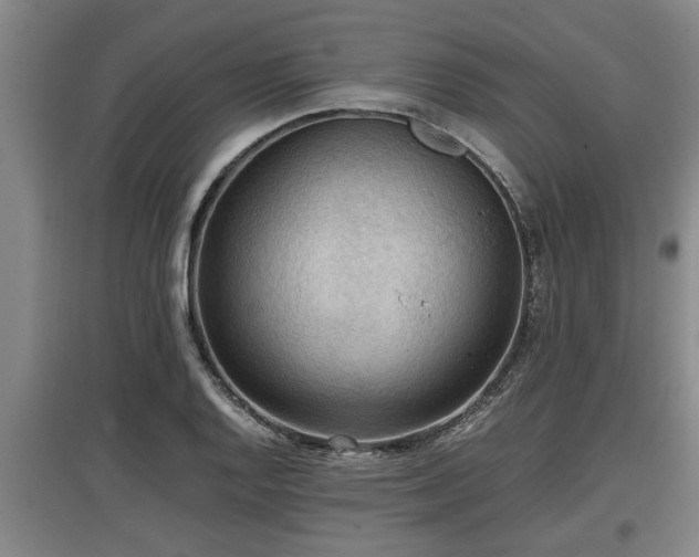 X0000097461128200802291230