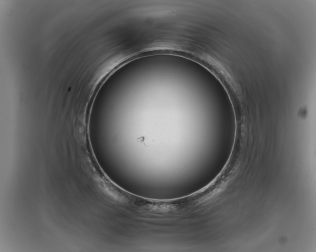 X0000097461129200802291230