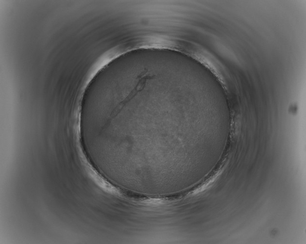 X0000097461130200802291230