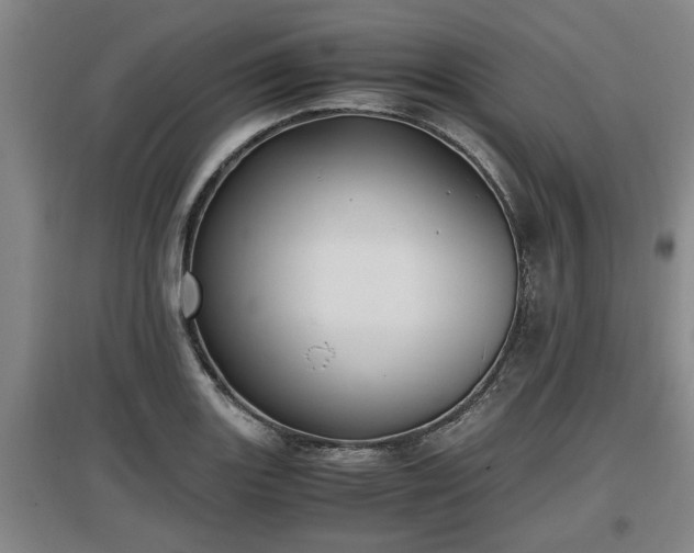 X0000097461131200802291230