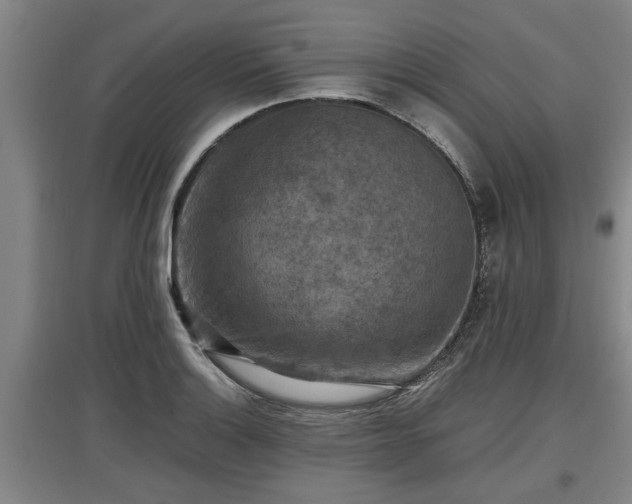 X0000097461132200802291230