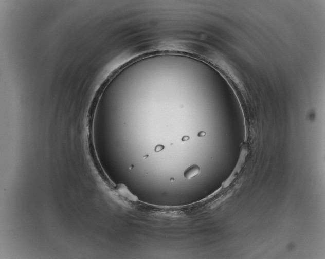 X0000097461133200802291230