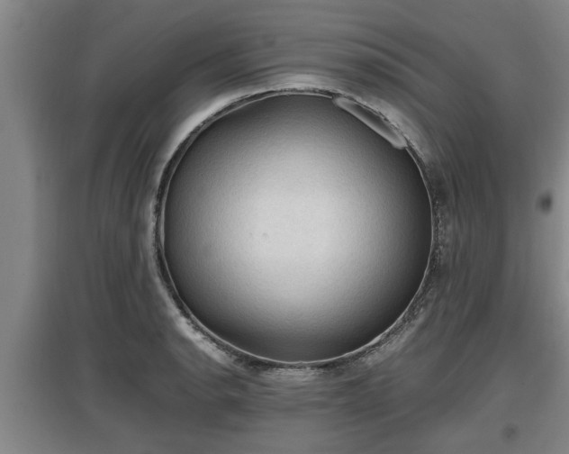 X0000097461134200802291230