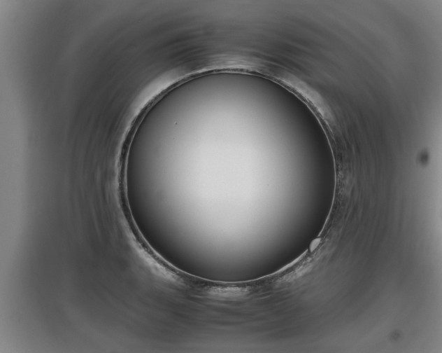 X0000097461135200802291230