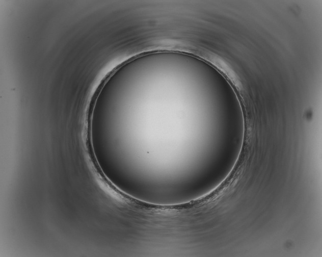 X0000097461136200802291230