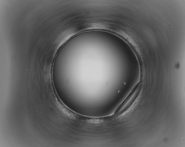 X0000097461137200802291230