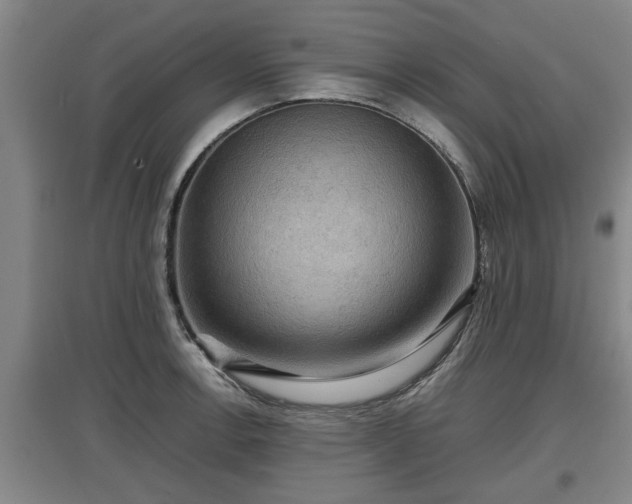 X0000097461138200802291230