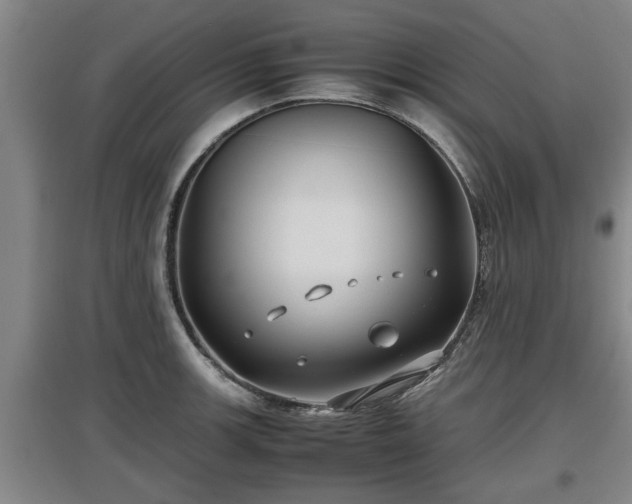 X0000097461139200802291230