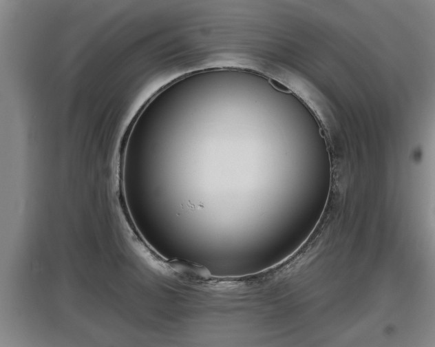 X0000097461140200802291230