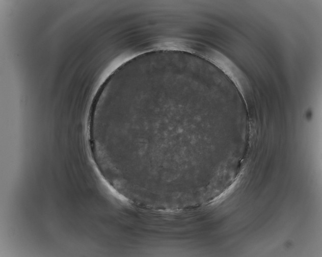 X0000097461141200802291230