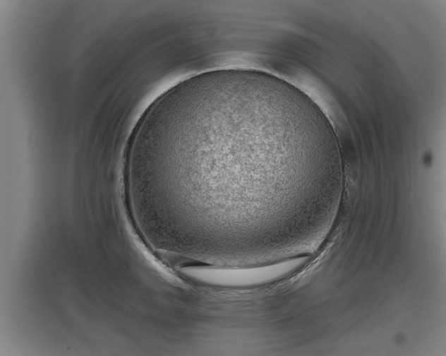 X0000097461142200802291230