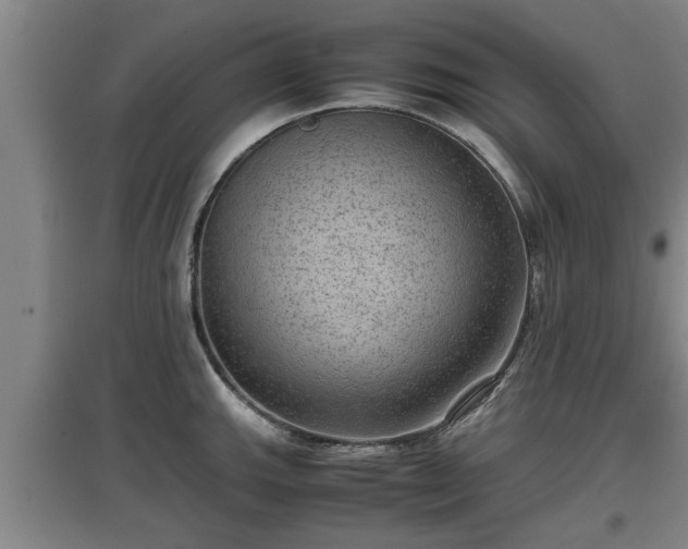 X0000097461143200802291230